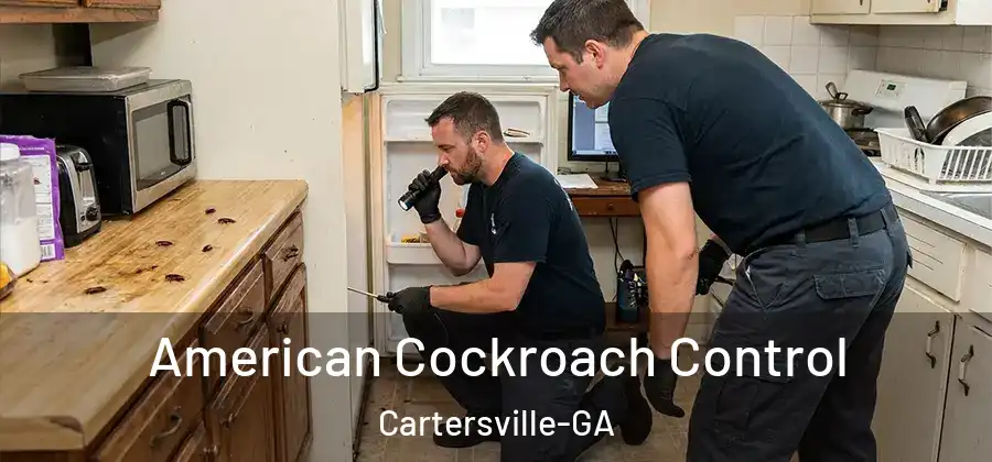  American Cockroach Control Cartersville-GA