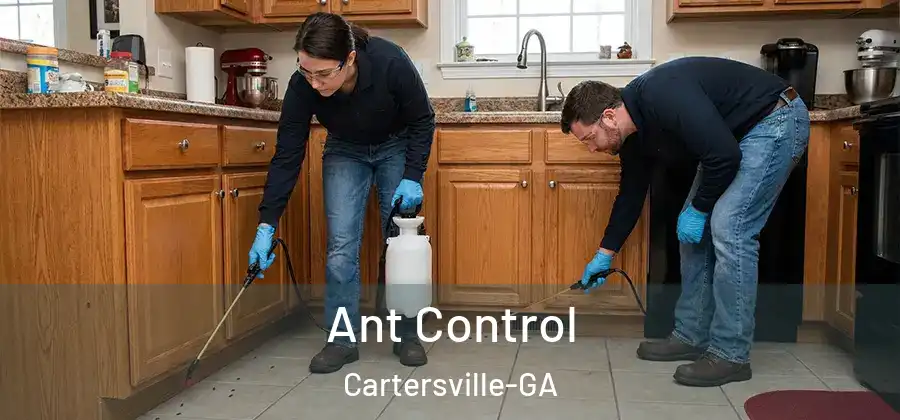 Ant Control Cartersville-GA