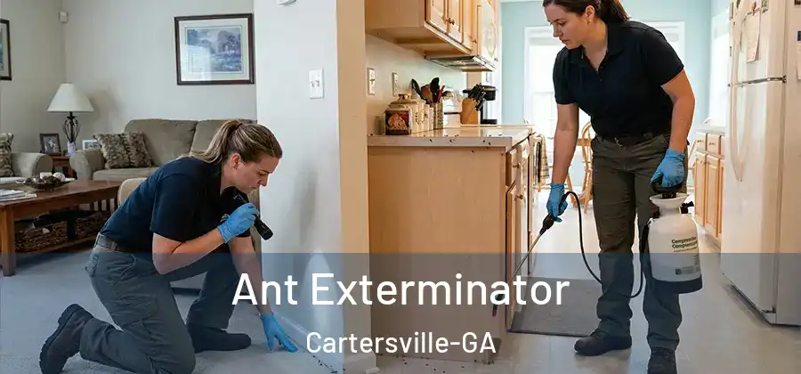 Ant Exterminator Cartersville-GA