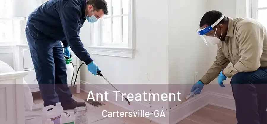 Ant Treatment Cartersville-GA
