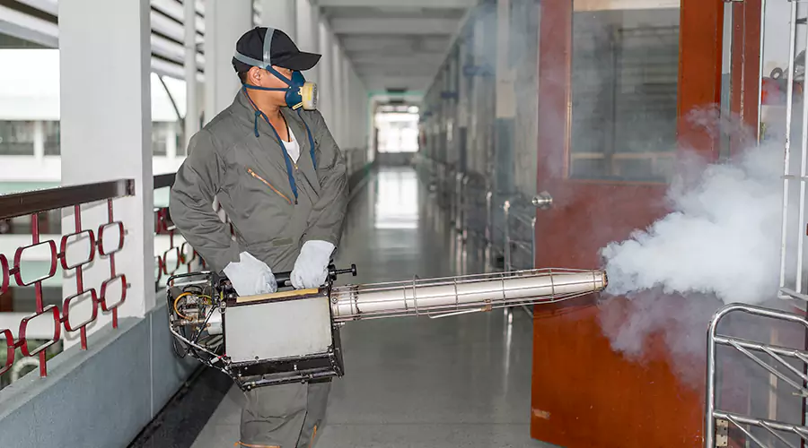 Mosquito Control Around the Home: What Really Helps?
