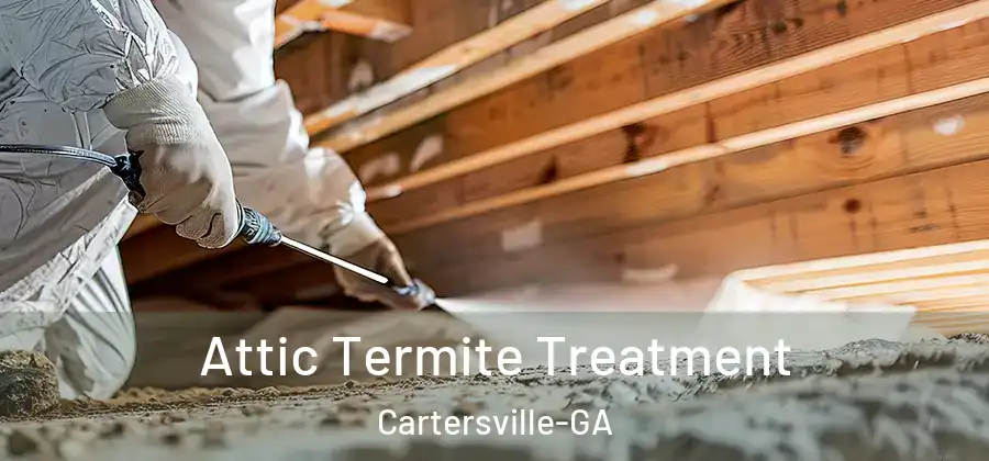  Attic Termite Treatment Cartersville-GA