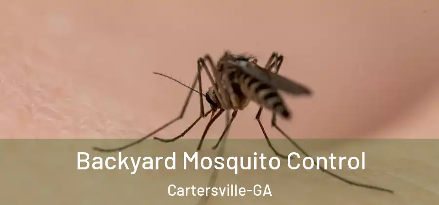 Backyard Mosquito Control Cartersville-GA