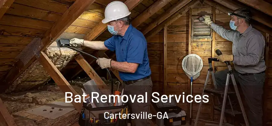  Bat Removal Services Cartersville-GA