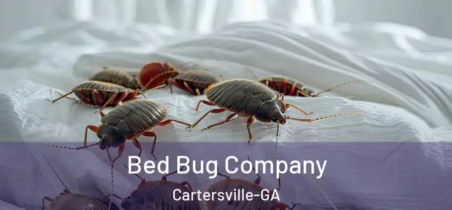  Bed Bug Company Cartersville-GA