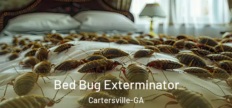 Bed Bug Exterminator Cartersville-GA