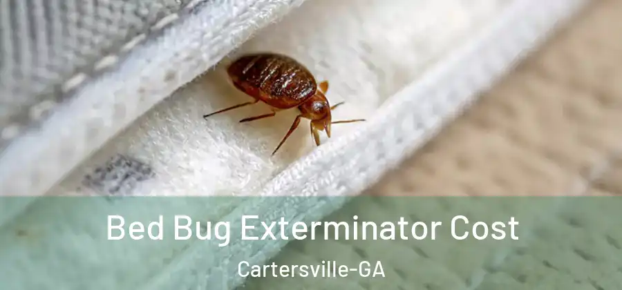 Bed Bug Exterminator Cost Cartersville-GA