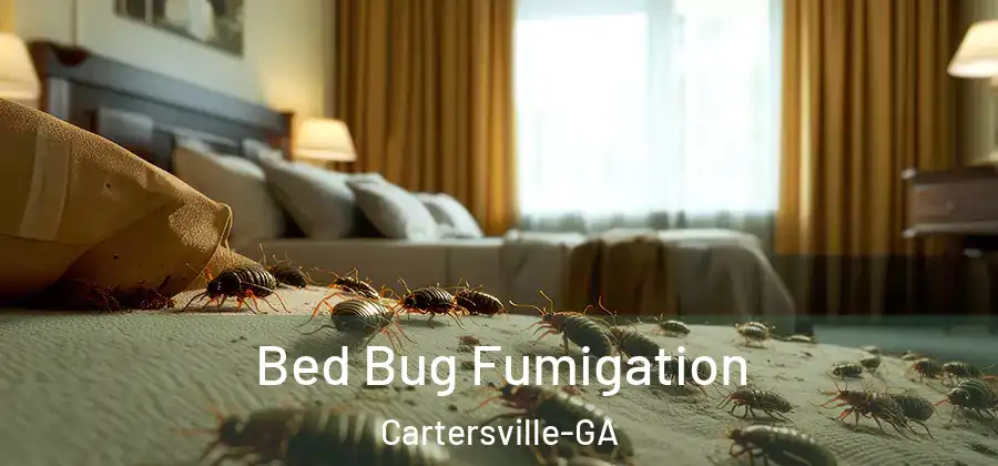 Bed Bug Fumigation Cartersville-GA
