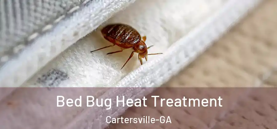  Bed Bug Heat Treatment Cartersville-GA