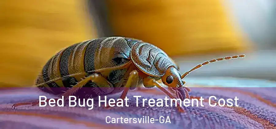 Bed Bug Heat Treatment Cost Cartersville-GA