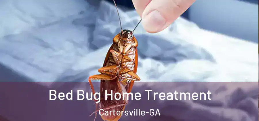  Bed Bug Home Treatment Cartersville-GA