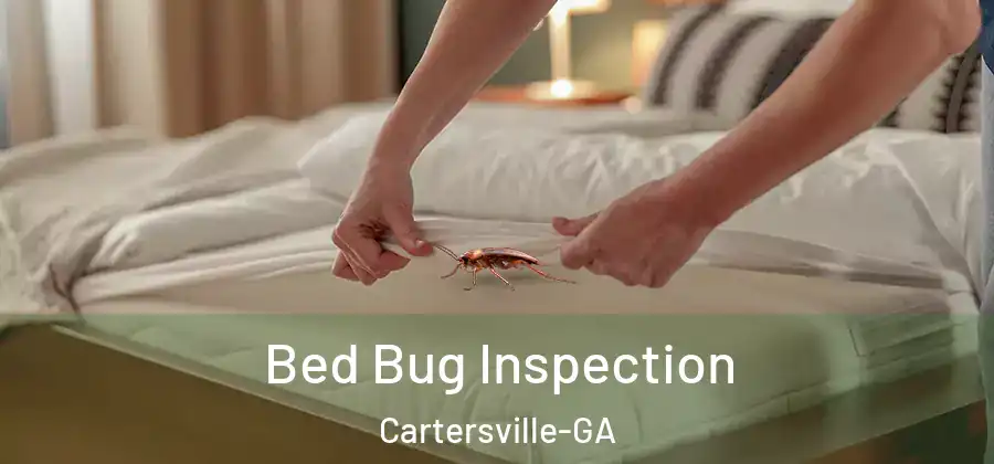  Bed Bug Inspection Cartersville-GA