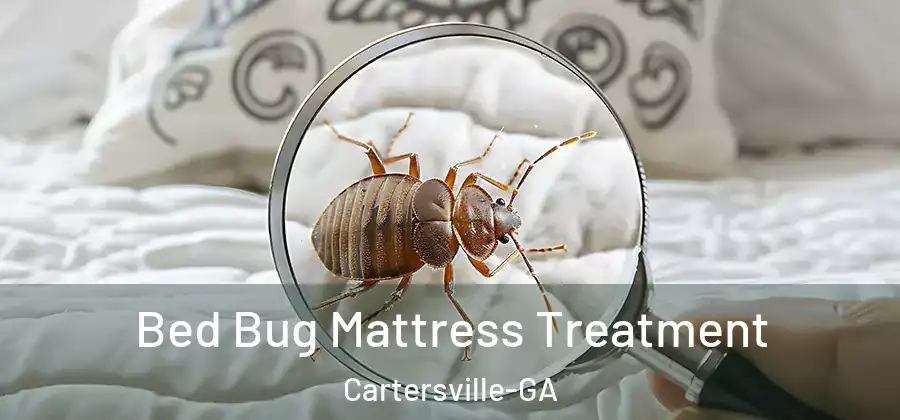  Bed Bug Mattress Treatment Cartersville-GA