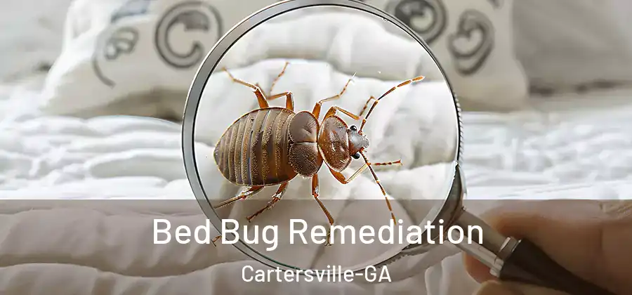  Bed Bug Remediation Cartersville-GA