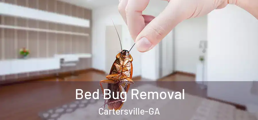 Bed Bug Removal Cartersville-GA