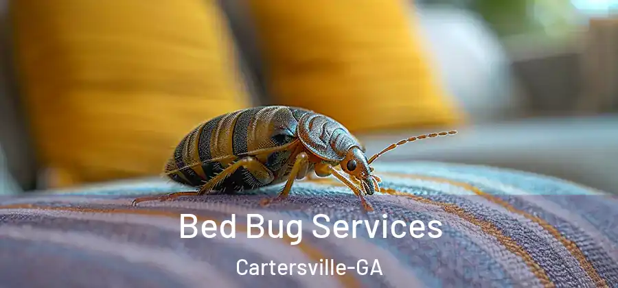 Bed Bug Services Cartersville-GA