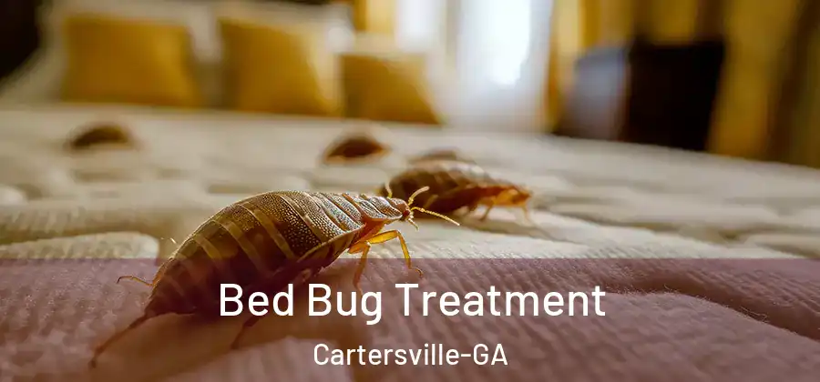  Bed Bug Treatment Cartersville-GA