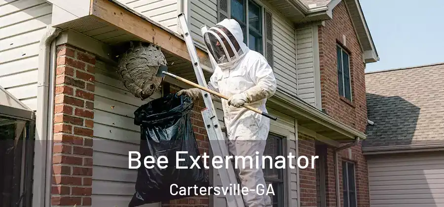 Bee Exterminator Cartersville-GA