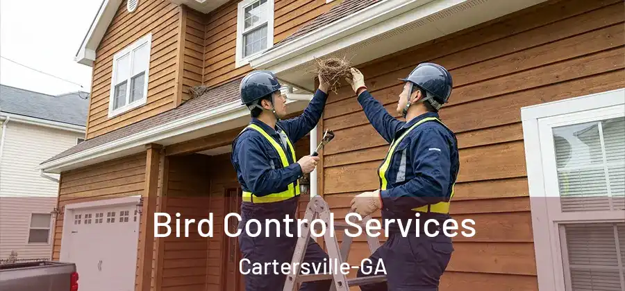 Bird Control Services Cartersville-GA