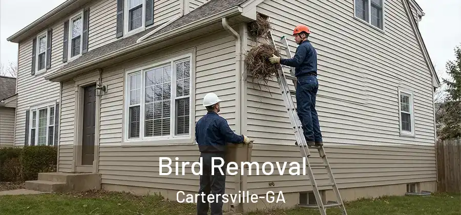  Bird Removal Cartersville-GA