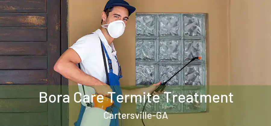 Bora Care Termite Treatment Cartersville-GA