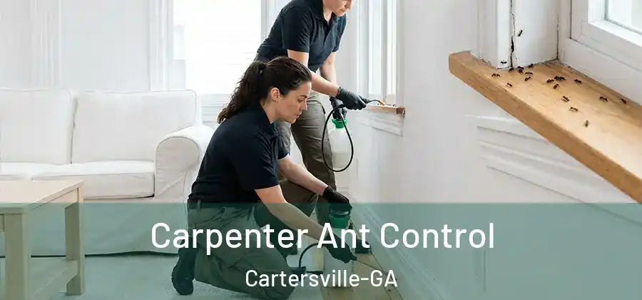 Carpenter Ant Control Cartersville-GA