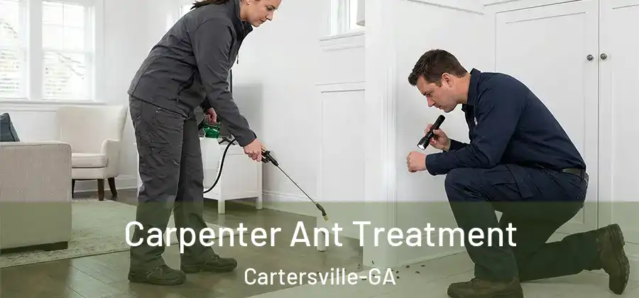  Carpenter Ant Treatment Cartersville-GA