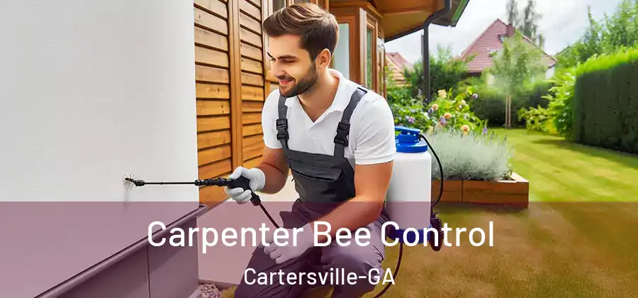 Carpenter Bee Control Cartersville-GA
