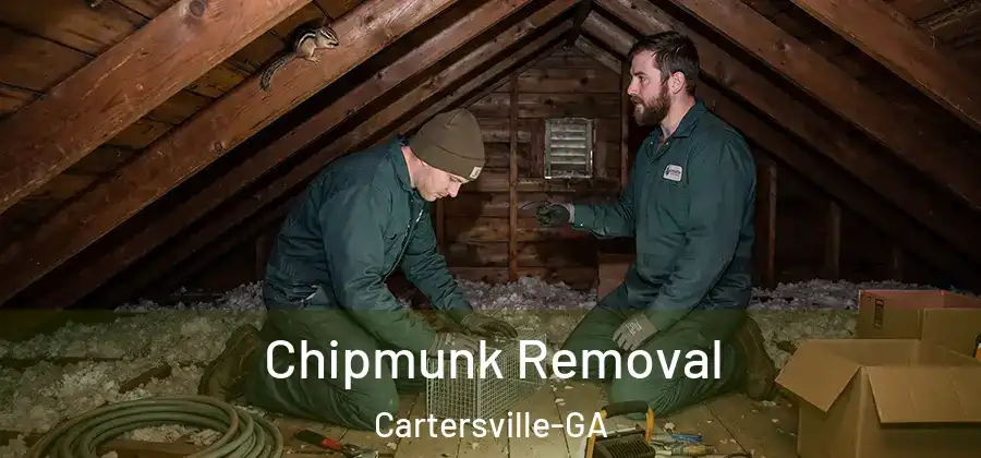  Chipmunk Removal Cartersville-GA