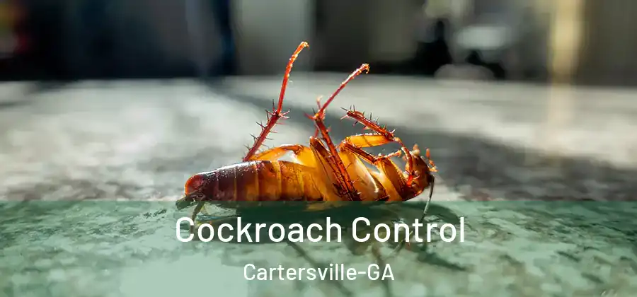 Cockroach Control Cartersville-GA