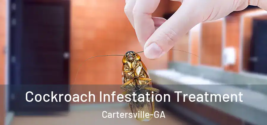  Cockroach Infestation Treatment Cartersville-GA
