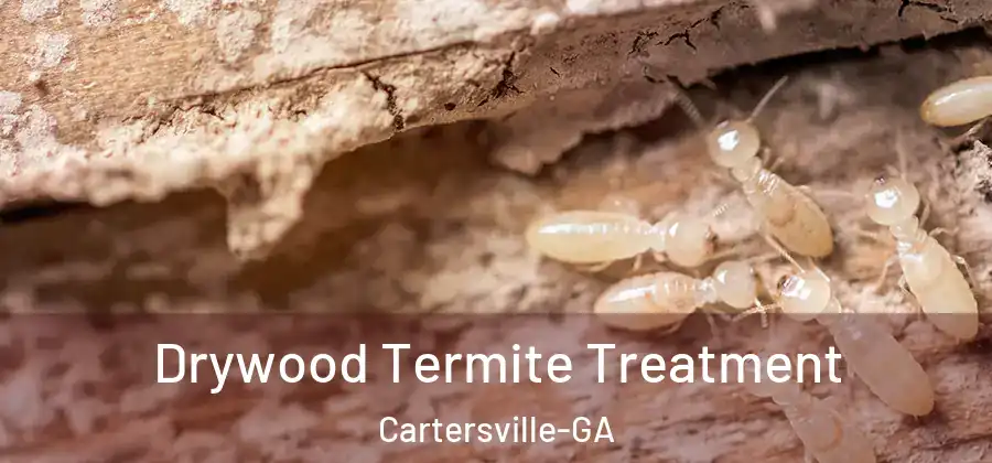 Drywood Termite Treatment Cartersville-GA