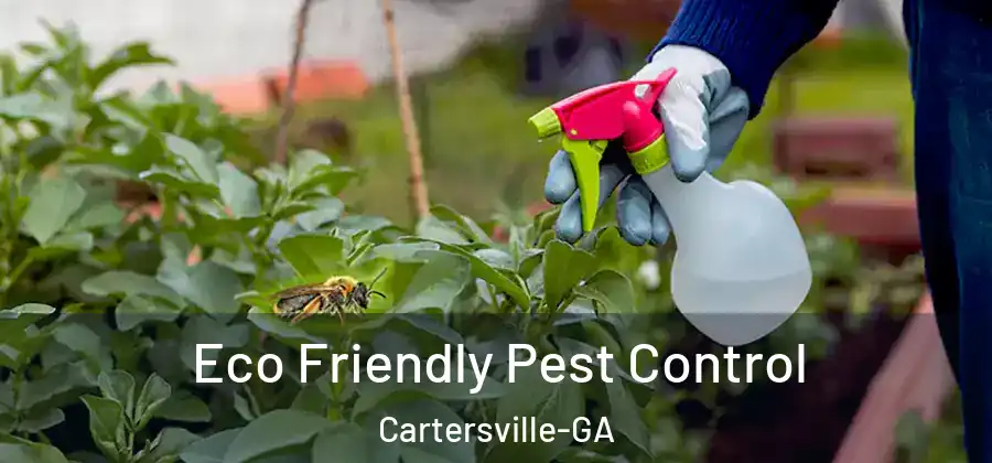  Eco Friendly Pest Control Cartersville-GA