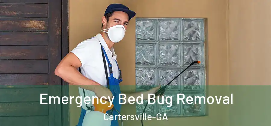  Emergency Bed Bug Removal Cartersville-GA