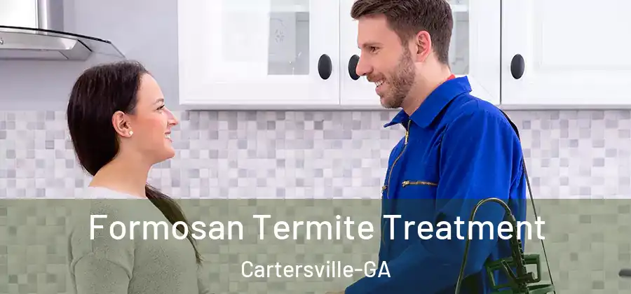 Formosan Termite Treatment Cartersville-GA