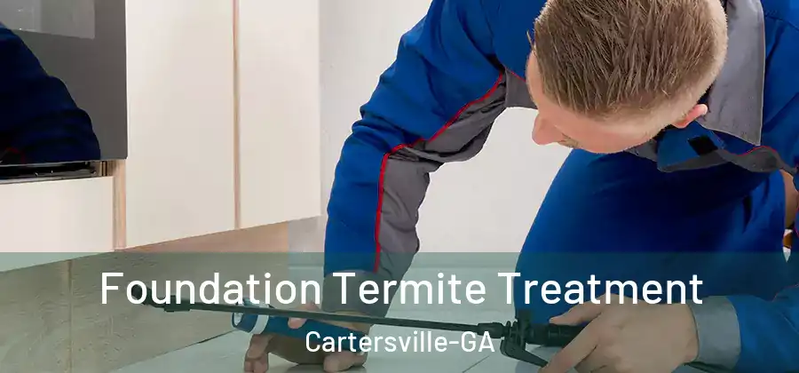 Foundation Termite Treatment Cartersville-GA