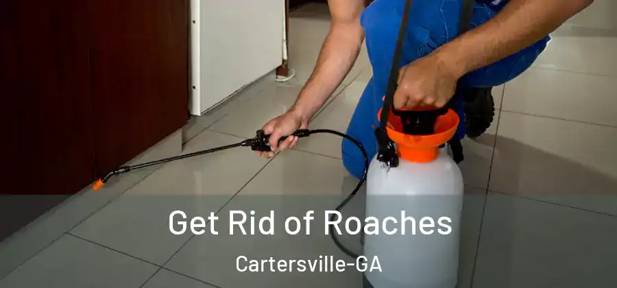 Get Rid of Roaches Cartersville-GA