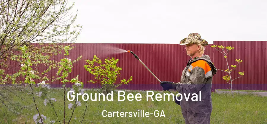 Ground Bee Removal Cartersville-GA