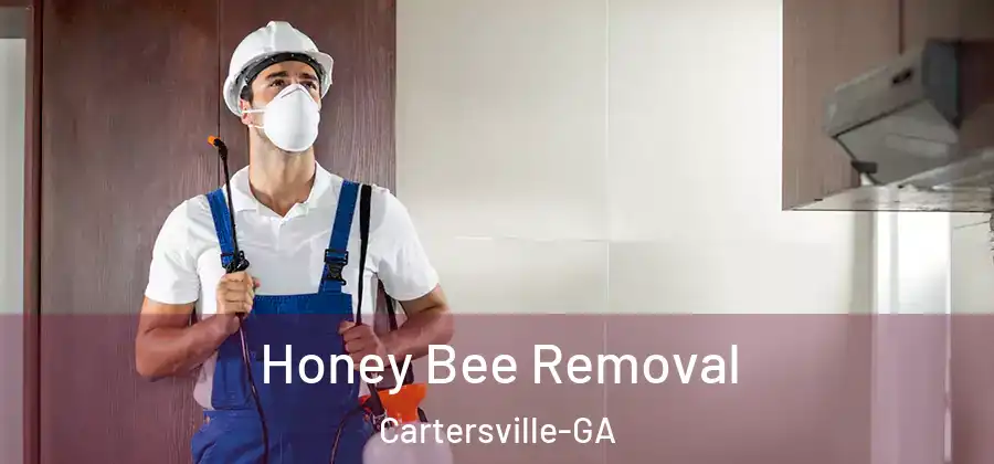Honey Bee Removal Cartersville-GA
