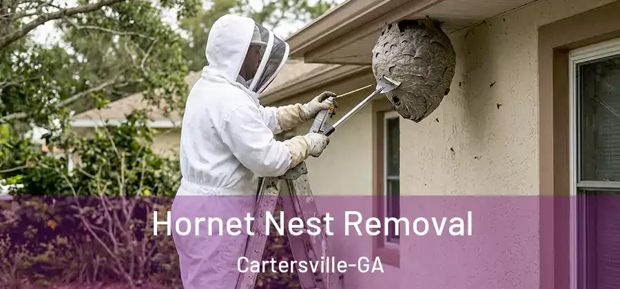 Hornet Nest Removal Cartersville-GA