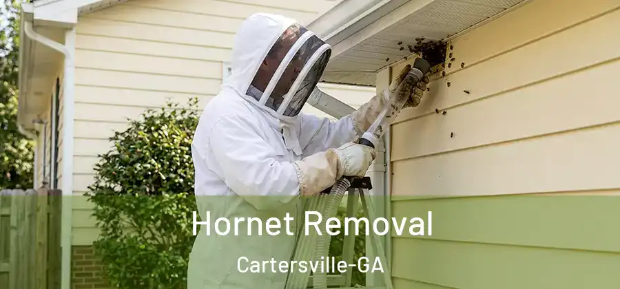 Hornet Removal Cartersville-GA