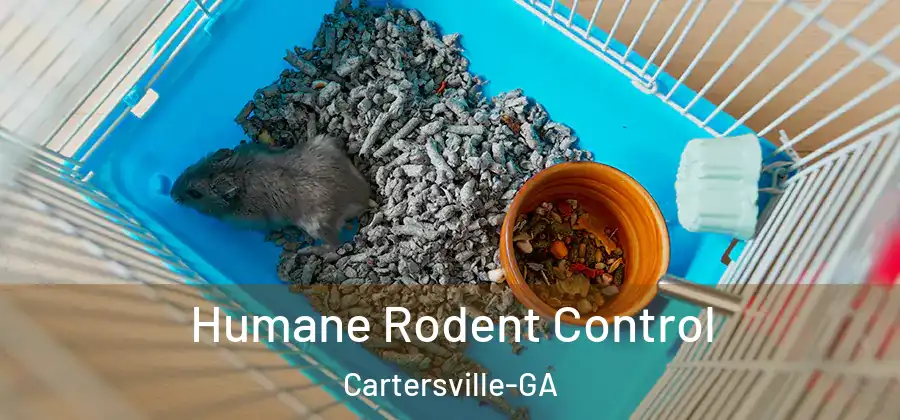  Humane Rodent Control Cartersville-GA