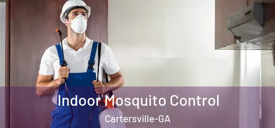  Indoor Mosquito Control Cartersville-GA