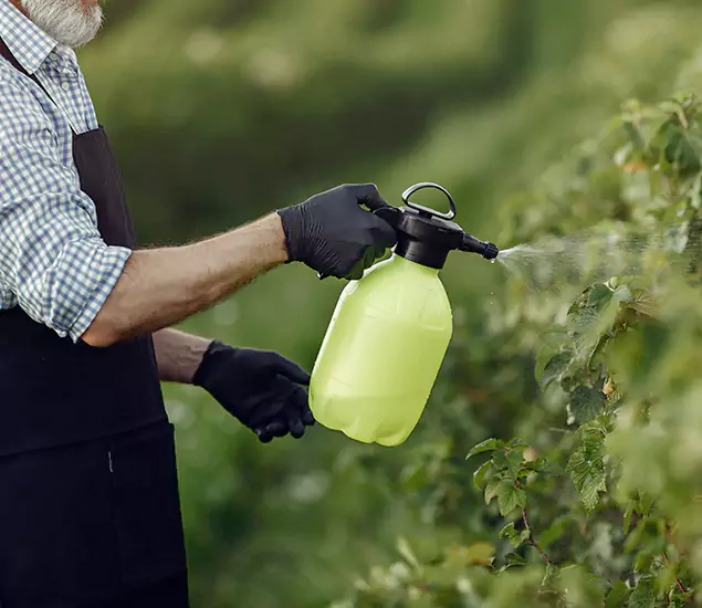Your Proven Mosquito Treatment Company in Cartersville, GA
