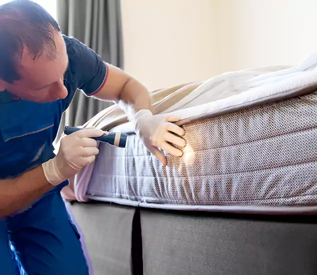 Trusted Bed Bug Cost Experts in Cartersville, GA