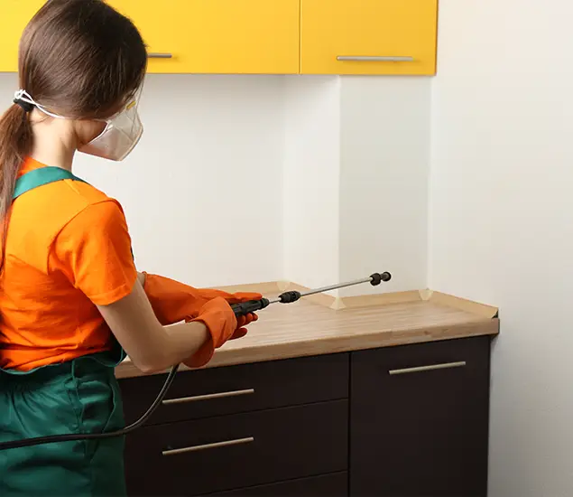 Trusted Bed Bug Pest Control Specialist in Cartersville, GA