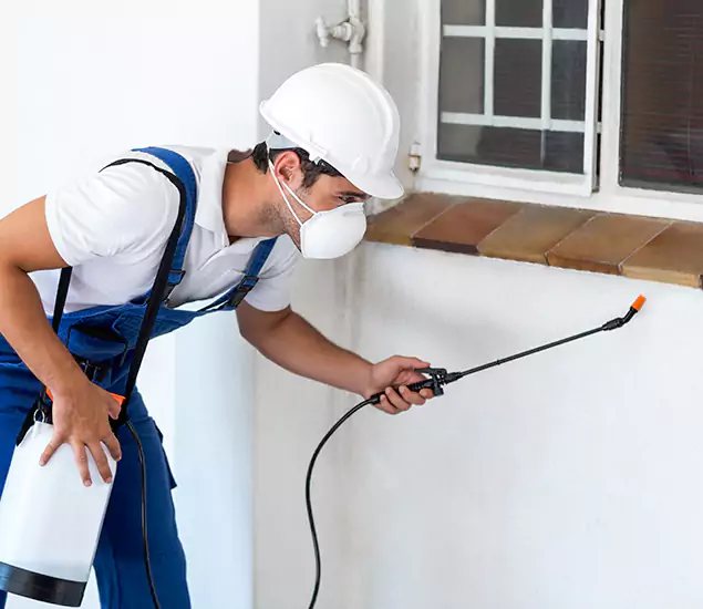 Your Professional Cockroach Exterminator in Cartersville, GA