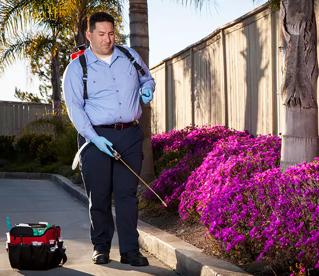 About Our Eco Safe Pest Control Experts in Cartersville, GA