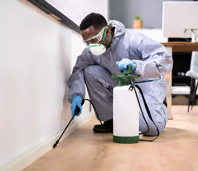 Leading Industrial Pest Control Experts Serving Cartersville, GA