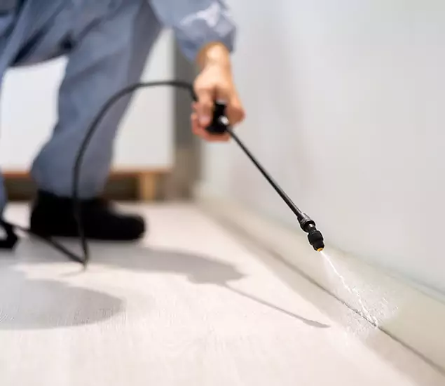 About Our Liquid Termite Treatment Experts in Cartersville, GA